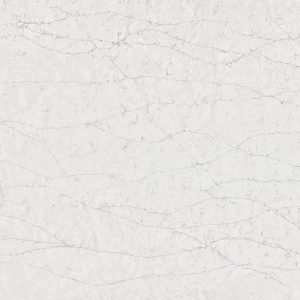 Eternal Pearl Jasmine